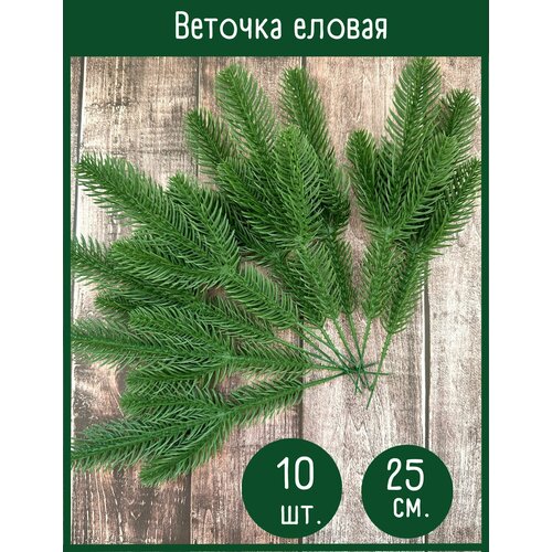 ���� ������ ����� ������������� (������ �����) 3 ����� �� �����, 25 ��. ����� ������, ����������, 10 ��., ������ ������