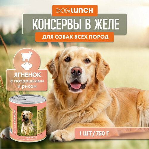      Dog Lunch  1 .  1 .  750    -     , -  