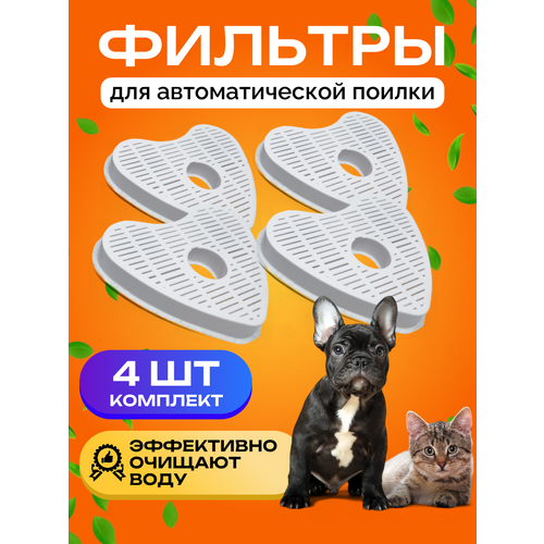 ���� ������� Run Energy ��� �������� ������ � ���� ��������, ������ ������