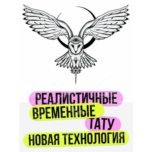 ���� ���� ���������� �������������� �������� ����, ������ ������