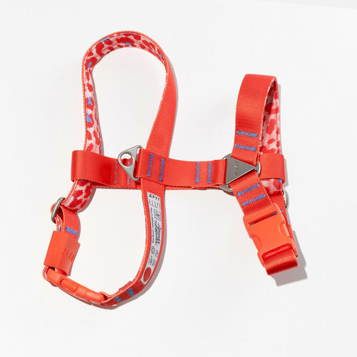 ���� ������������� ������ ����, ������ S, ���� �������, ������ ������