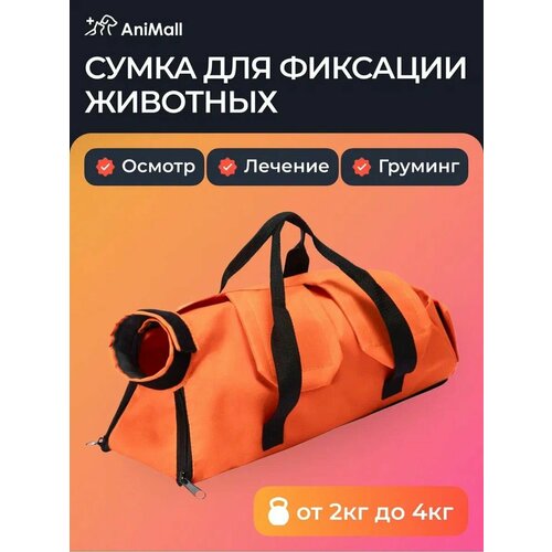 ���� ������������ ����� ��� �������� �������� - �� 2 �� 4 �� ���������, ������ ������