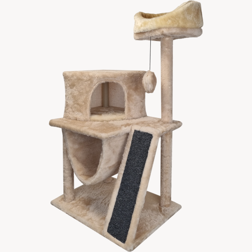 ���� ������� �������� � �������, ��������� � ������� �����������: 