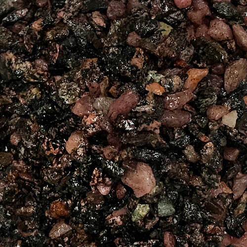 ���� ����������� ����� ��� ��������� ���������� �����������, ��� ����������� � ��������, Zoo One, ��������� ��������, ������� 