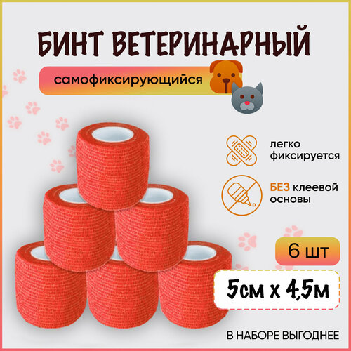 ���� ���� ���������� ���������� ����������������� / ��������� ����� ��� ����, ��� ���������, ����������, ��� ��������, 5 �� � 4,5 �, �������, ����� 6 ��, ������ ������