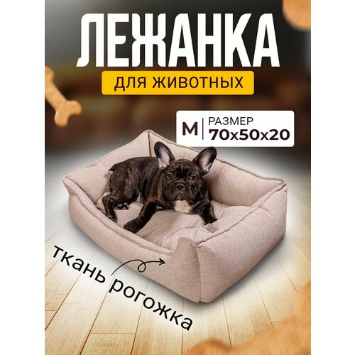 ���� ������� ��� ����� � ����� ������� � ��������� � ��������, ������ ������