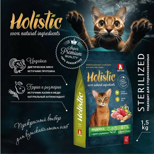        , Holistic      1,5    -     , -  