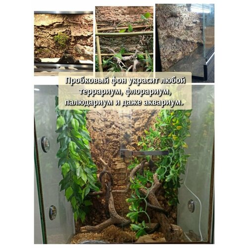 ���� ��� ��� ���������� 60*45�� �������� 3D �� ��������� ���� �����������, ������ ������