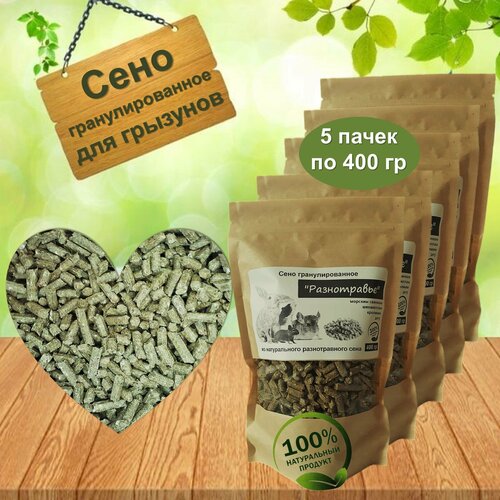 ���� ���� ��������������� 