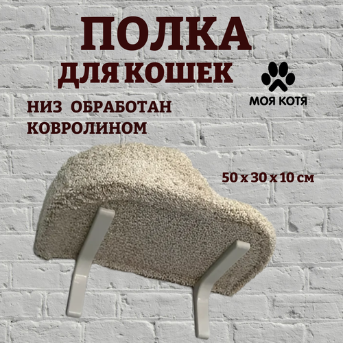 ���� ������� ��� ����� ��������� ����� ��� ����, ���� �����, ������ ������