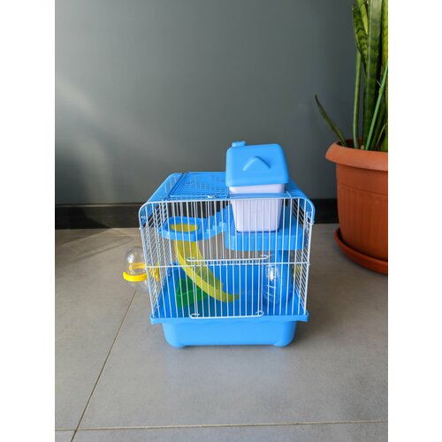 ���� ������ ��� �������� 23�17�30 ��, �����, ���, �����, ��� �����, ����� �����������, �������, ������ ������