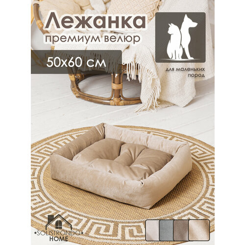 ���� ������� ��� ����� � ����� 50�60. ��. �����, ������ ������