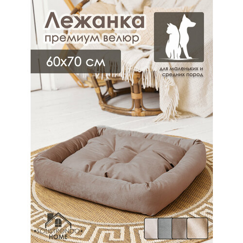 ���� ������� ��� ����� � ����� 60�70. ��. �����, ������ ������