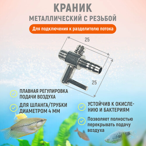 ���� ������ ������������� � ������� ��� ����������� � ����������� ������ � ������� ������������ ������ �������. ������� 4 ��. 1 ��., ������ ������