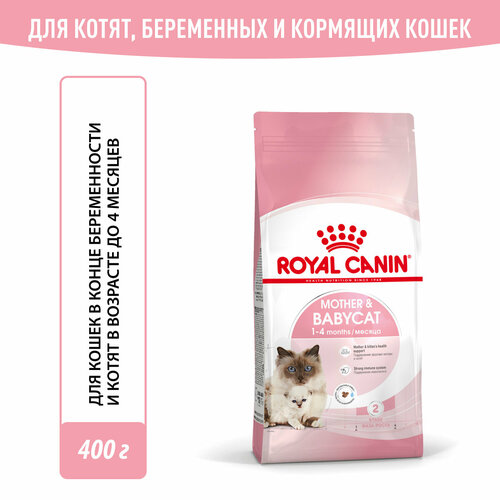           ,    , Royal CaninMother&Babycat (  ), , 0,4    -     , -  