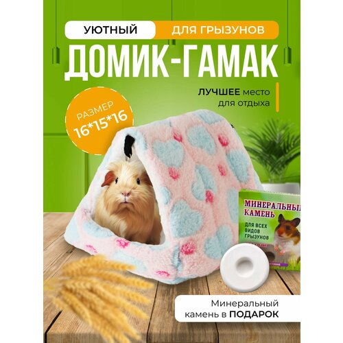 ���� ����� ��� ��������, ����� ��� �������, ����, ������� 16�15�16, ������ ������