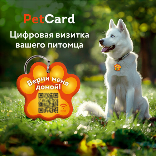   PetCard      QR   NFC, .   -     , -  