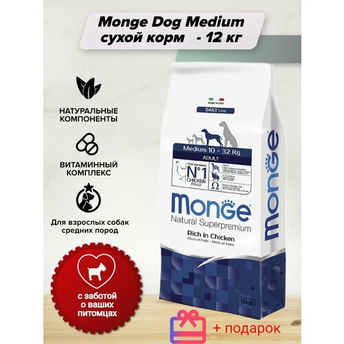  Monge Dog Medium        - 12       ,    12    -     , -  