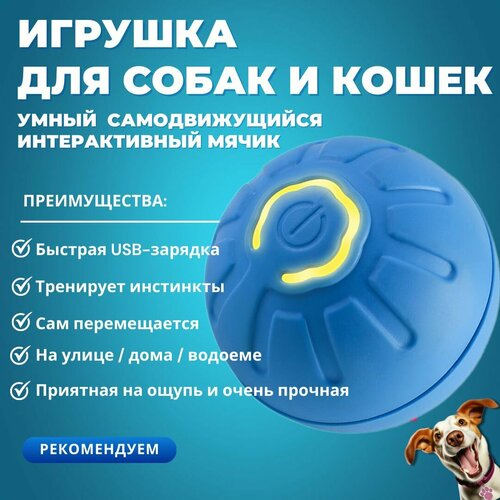 ���� ������������� �������-��������� ��� ����� � ����� ������ �����, � �������� ��������, ������� ��������� ������ ���������� �������� ��� ����� � ������ � USB-��������, ������ ������