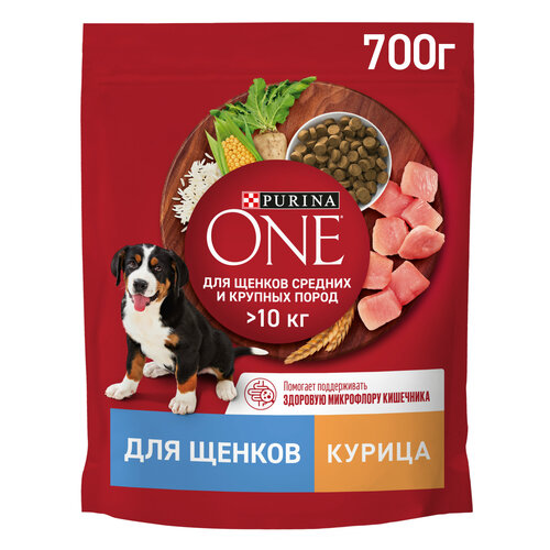      Purina ONE          700    -     , -  