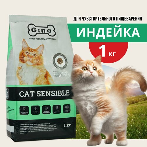      Gina Cat Sensible  , , , 1    -     , -  