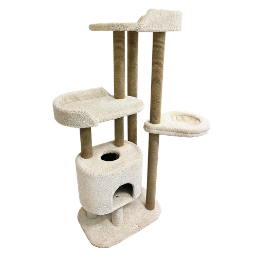 ���� ������� ��������-���������� ��� ���� 