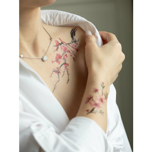 ���� ��������� ���� ������, ������ ������