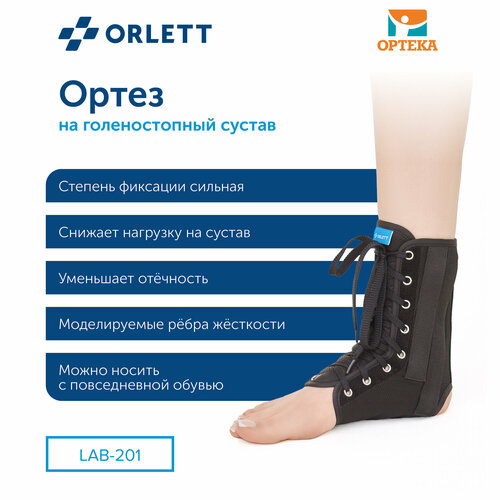  Orlett     LAB-201,  XL,    -     , -  