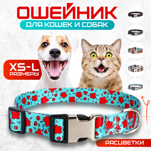 ���� ������� ��� �����, ����� 