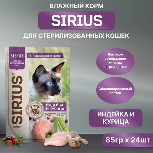    SIRIUS      ,   , , 85*24   -     , -  