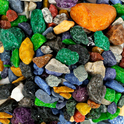 ���� ����������� ����� ��� ���������, ���������� � ��������, Zoo One, ��������� ��������, ������� 