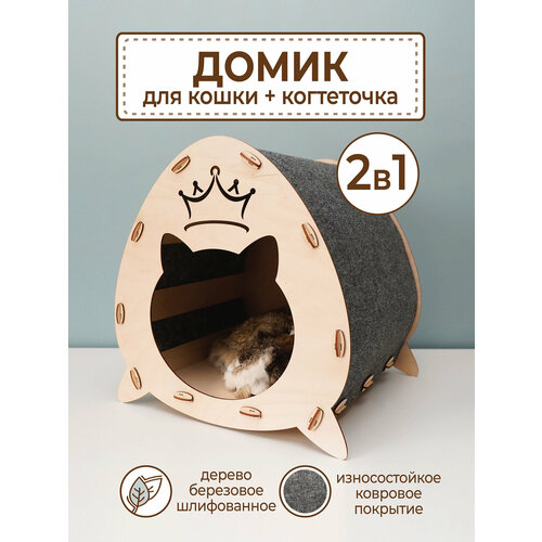 ���� ���������� ����� ��� �����, ������ ������