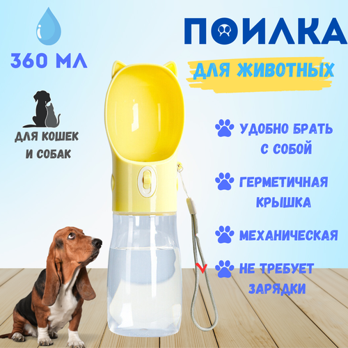 ���� ������ ����������� ��� ����� ������/ ������� �������� ��� ��������, ������ ������