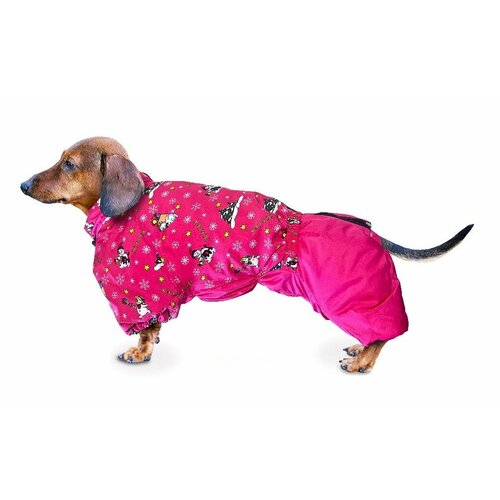 ���� ������ ���������� ��� ����� �������, ������ ������