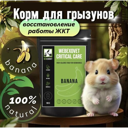     , ,  ,     , Webexovet Critical Care Banana, 100 .   -     , -  