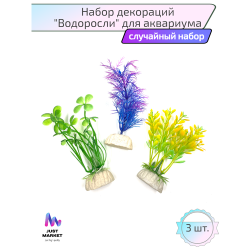 ���� ����� ���������� JustMarket ��� ��������� � ����������, ������ ������