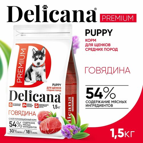      Delicana  1 .  1 .  1500  (  )   -     , -  