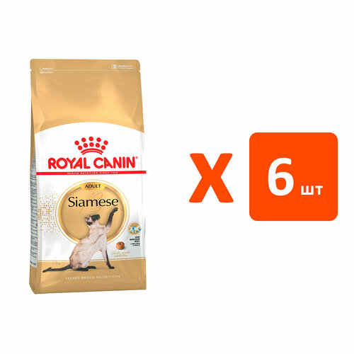  ROYAL CANIN SIAMESE ADULT     (2   6 )   -     , -  