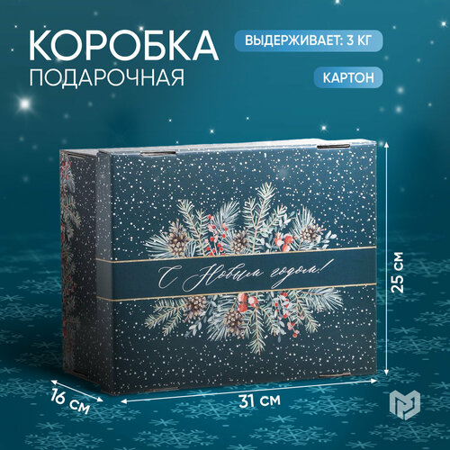 ���� ������� ���������� �� ����� �����, 31,2 � 25,6 � 16,1 ��, ����� ���, ������ ������