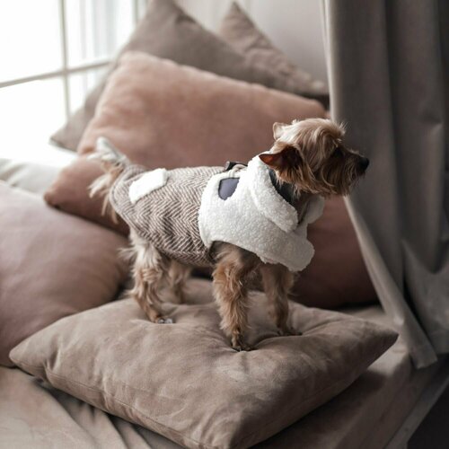 ���� �������/����� ��� �����, ������ ��� �����, 