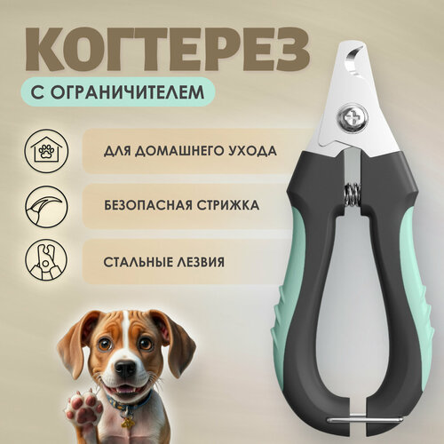   Muzzle pet care          -     , -  