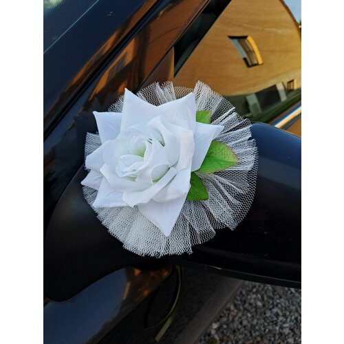 ���� ��������� ��������� �� �����(�������) ����������, ������ ������