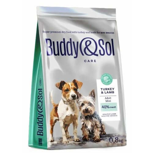           Buddy&Sol Adult Mini,    , 800    -     , -  