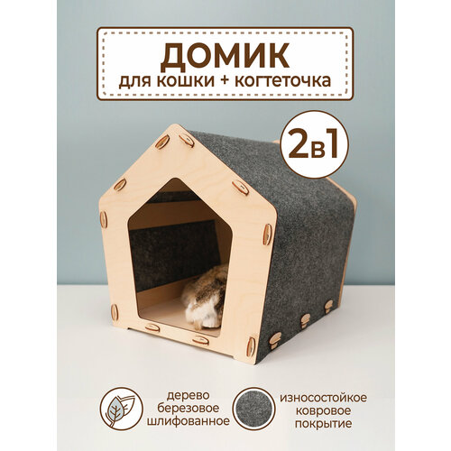 ���� ���������� ����� ��� �����, ����� ������ �����, ������ ������