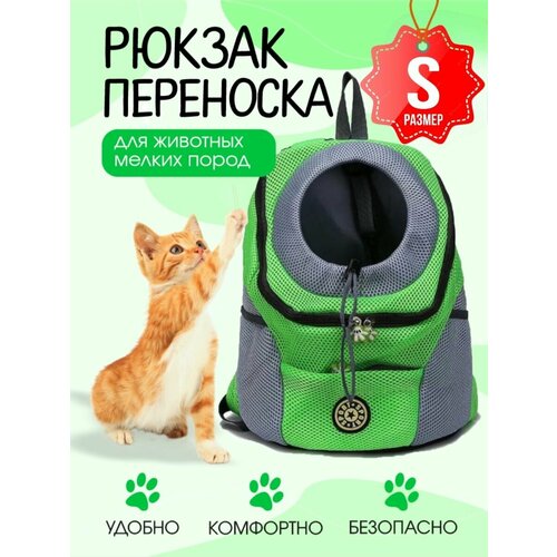 ���� ������ ��������� ��� ����� � ����� ������ �����, ������ ������