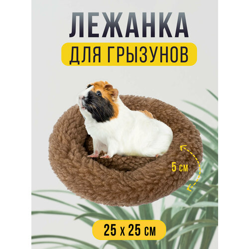 ���� ������� ������� ������� 25�25 �� ��� ������ �������� � ������, ����� ��� ������, ������� ������, �������� �������, ������ ������