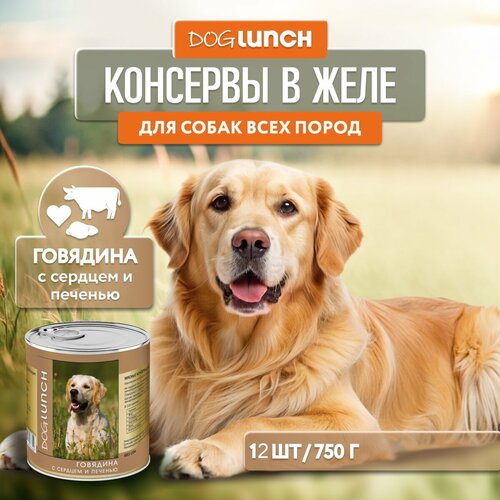      Dog Lunch , ,  1 .  12 .  750    -     , -  