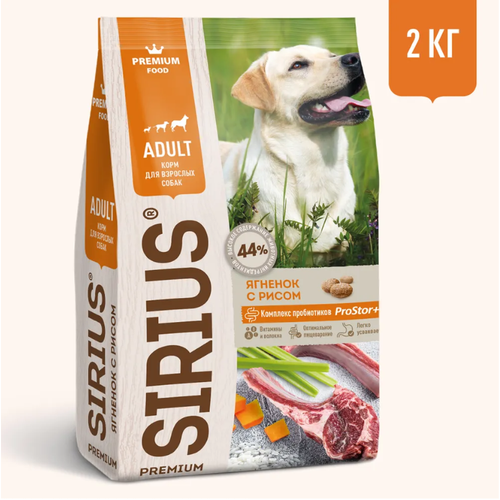    SIRIUS   ,    2    -     , -  