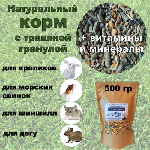 ���� ���� ��� ��������, �������, ������� ������, ���� 