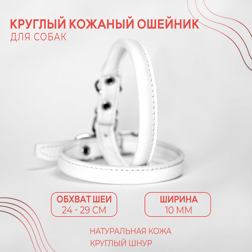 ���� ������� ������� ������� (������ ��� 24-29 ��.) ��� ��������� ����� ����� � �������� ������� / �����, ������ ������